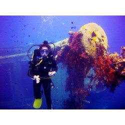 Daily 2 guided dives package