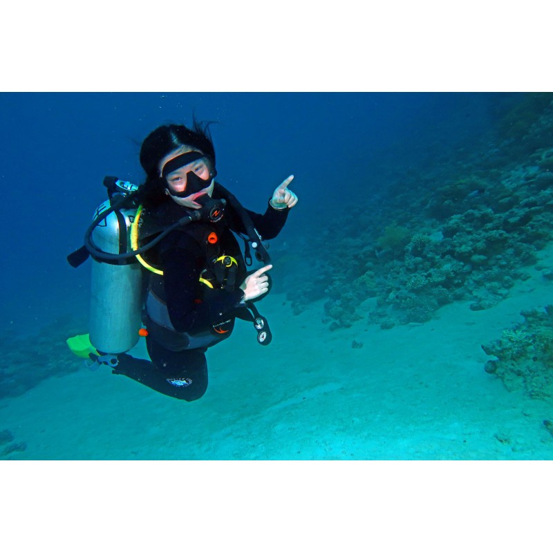 PADI Scuba Diver