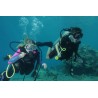 Discover Scuba Diving