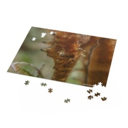 Sea Horse Puzzle (120, 252,...