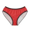 Flag Women's Briefs